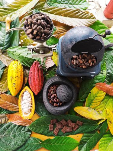 Hacienda Venecia Hostel in Manizales