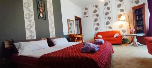 Große Wohnung in dritter Etage mit Terrasse im Altstadtzentrum - Ferienwohnung Chiplakoff in 勃蘭根堡