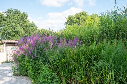 L'Escapade Nature et Gourmande Piscine et Clim Toulouse et Colomiers Airbus Gers