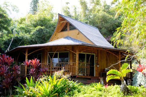 Maui Eco Retreat thumb 3