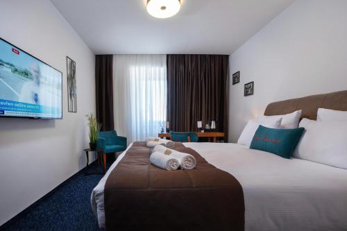 Hotel Sumava in Zelezna Ruda Town Center
