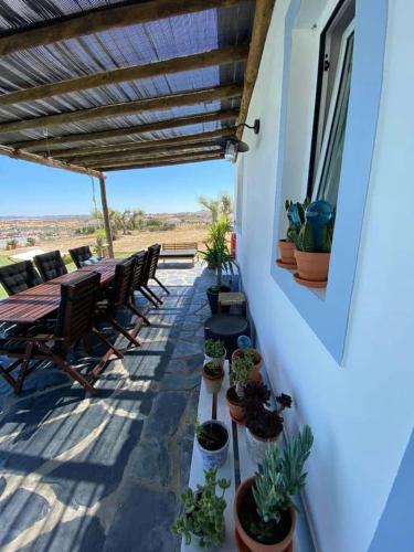 Have, Monte Das 7 Oliveiras in Pias