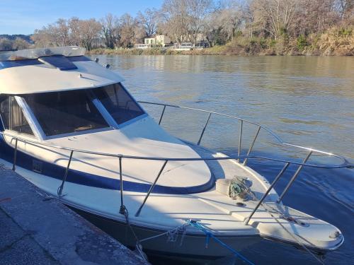 BATEAU à Quai - Hôtel - Avignon