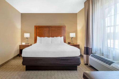 Comfort Inn & Suites Dover-Portsmouth - image 10