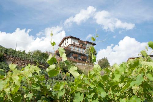 Wine Hotel Retici Balzi, Poggiridenti bei San Pietro