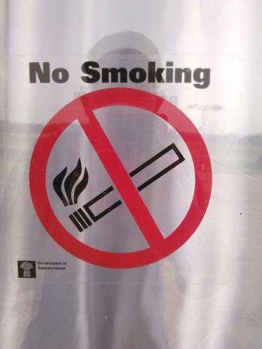 Ross Inn Ross Inn图片