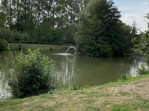 Gîte Villers-Pol, 3 pièces, 4 personnes - FR-1-510-190 (Gite familial tout inclus avec cour, terrasse et equipements equestres, proche du Parc Naturel de l') in Potelle