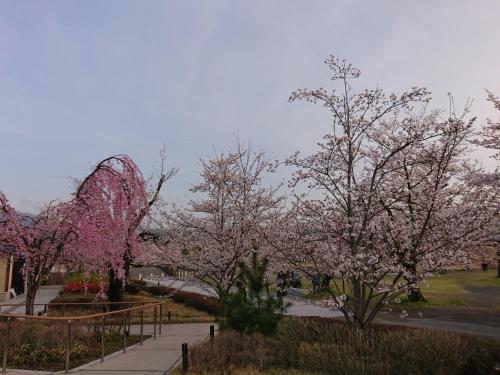 Hotel Arashiyama