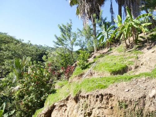 Roatan’s green view getaway.