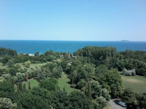Hotel Park
