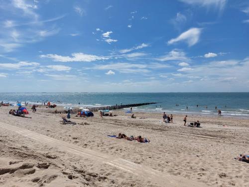 Strandcamping Valkenisse - image 3