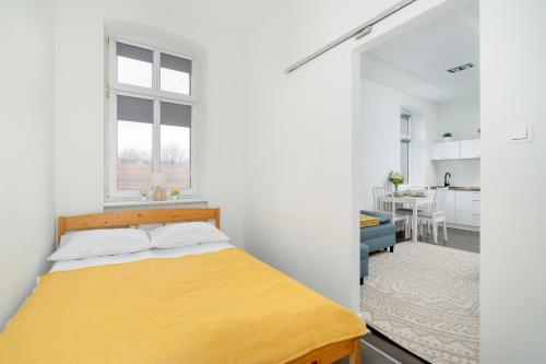 Apartment image 10