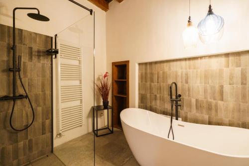 One-Bedroom Apartment image 6