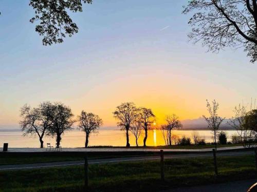 Appartement d'une chambre avec vue sur le lac terrasse amenagee et wifi a Excenevex