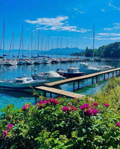 Appartement d'une chambre avec vue sur le lac terrasse amenagee et wifi a Excenevex