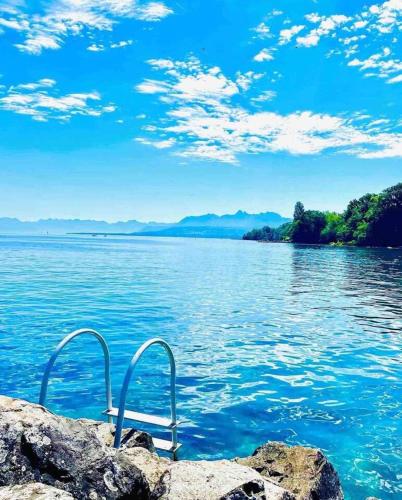 Appartement d'une chambre avec vue sur le lac terrasse amenagee et wifi a Excenevex