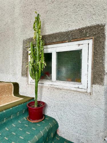 Iekārtas, Kayyr Guest House in Chuy
