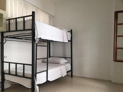 Castle81homes Women Hostel - only for women 2