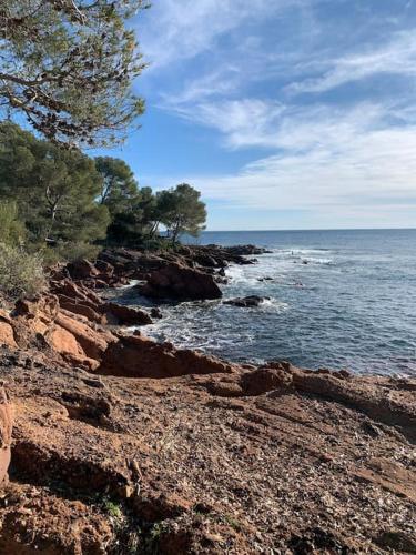 Boulouris - Appt 3/4 pers. bord de mer / piscine - Location saisonnière - Saint-Raphaël