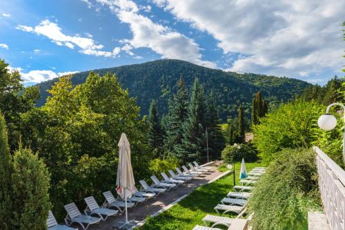 Surrounding environment, Balneocomplex Kamena in Velingrad