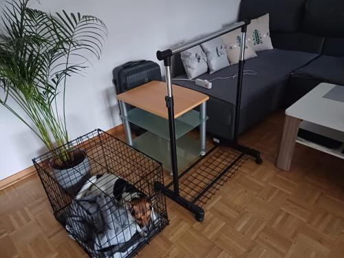Private Rooms, Hannover (fotografie 7)