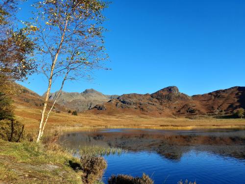 Ling Fell Cottage Ulverston - main image