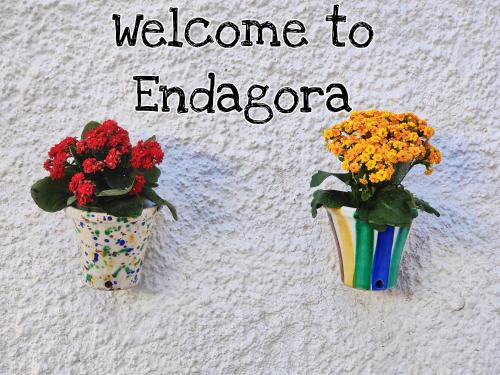 ENDAGORA