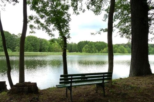 28m Ferienhaus am Rande des Spreewalds