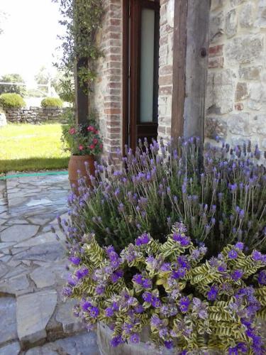 Agriturismo Valiana - image 14