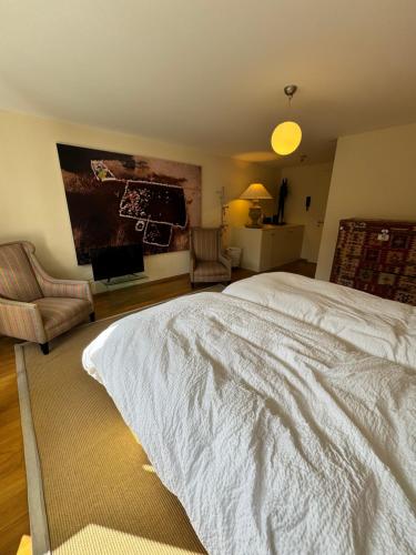 Turquino B - Large studio with balcony in Zermatt, Zermatt (photo 7)