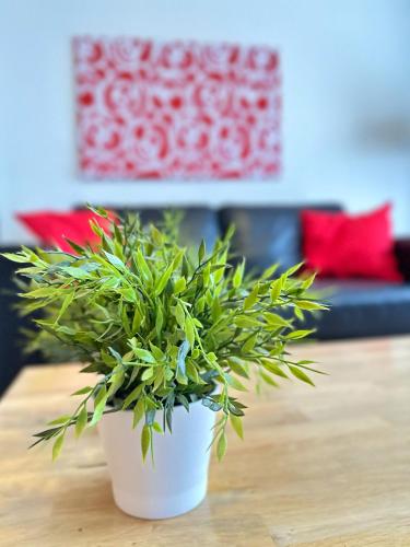 Appartement Kompas - image 4
