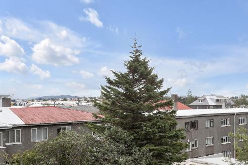 Three-Bedroom Apartment image 8