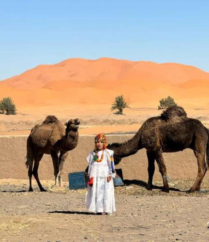 Merzouga Luxurious Camp