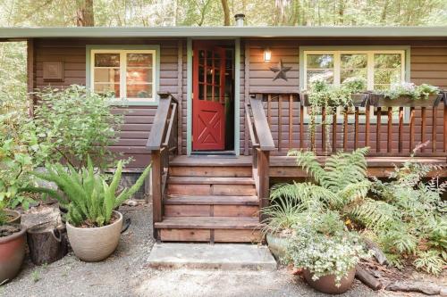 Romantic Creekside Cabin In A Redwood Forest