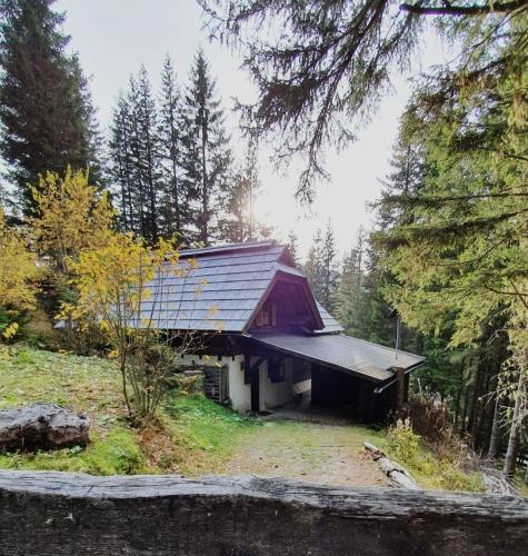 Chalet Hüttentraum by Globalimmoservice - Bad Kleinkirchheim