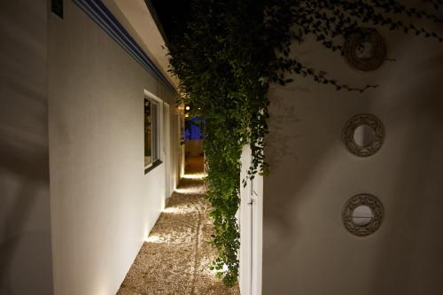 Aljanna House – Bacalar, TX
