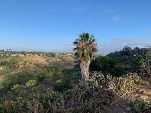 Surrounding environment, Canyon View Cutie in Bay Park