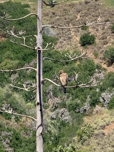 Surrounding environment, Canyon View Cutie in Bay Park