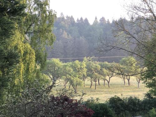 Apkārtne, Ferienwohnung Herding in Kerpen (Eifel)