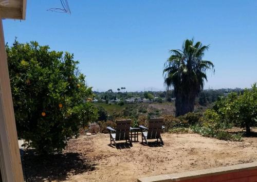 Garden, Canyon View Cutie in Bay Park