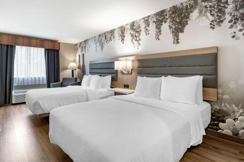 Best Western Plus Vineyard Inn Room Type - Queen Room with Two Queen Beds - Non-Smoking