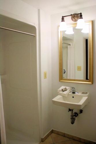 King Room with Roll-In Shower - Disability Access