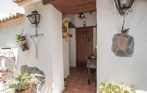 Finca Los Burros 5