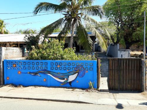 Casa Ballena Cósmica