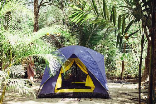 B&B Bedahulu - Putu Ubud Glamping Camping - Bed and Breakfast Bedahulu