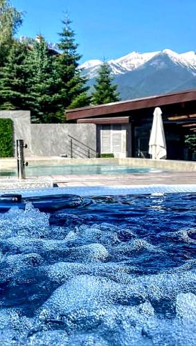 6 Luxury SPA Apartments TOP resort Bansko - incl wellness - Accommodation - Bansko