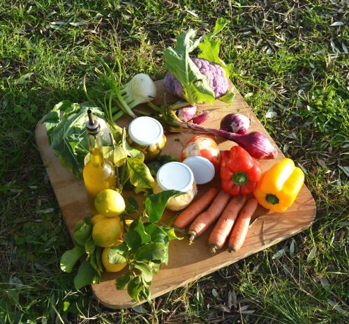 Villa Orta - Agriturismo con cucina Vegan, Plant-based Farmhouse in Riotorto