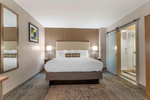 King Room with Sofa Bed image 6