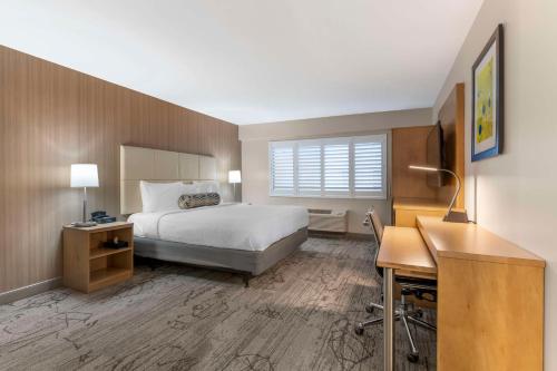 King Room with Patio room in Best Western Red Coach Inn