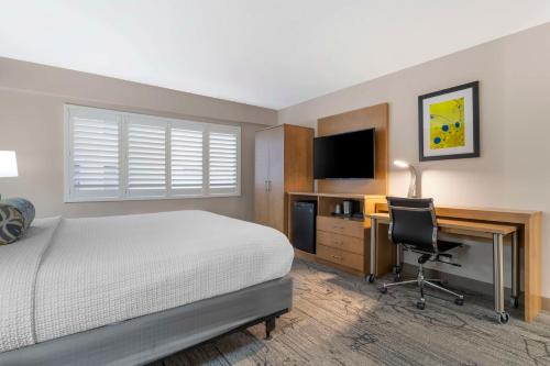 King Room  - Disability Access image 5